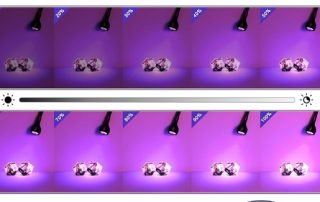UV Lamp in Disinfection