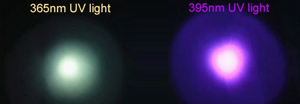 Comparison of UV Flashlight Wavelengths for Ink Detection