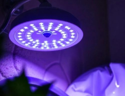 Choosing the Right UV Light for Printing Inspection