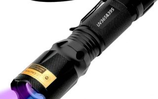 UV light flashlight
