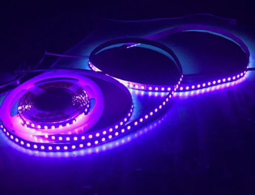 Key Specifications to Look for in a UV Flashlight for Currency Verification