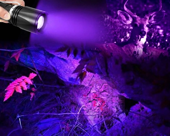 Best Practices for Storing UV Flashlights