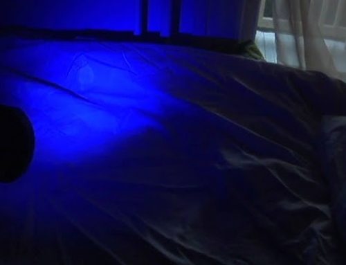 How UV Light Reveals Hidden Evidence at Crime Scenes